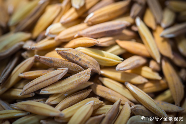 1.2水稻种子入库标准